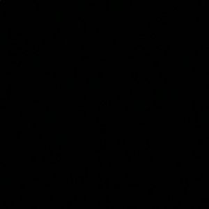 Meet your Posher, Suany